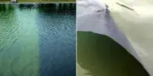 Reflecting Pool, dopo le alghe si scrosta anche il rivestimento blu voluto da Trump