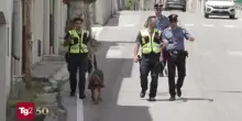 Sorelle scomparse: tre auto non identificate hanno transitato nella zona, la notte della sparizione