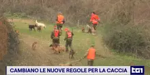DDL Caccia, s&igrave; del Senato alla riforma: cambiano regole, aree e specie cacciabili