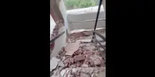 Terremoto in Venezuela, la fuga per le scale di un edificio di Caracas