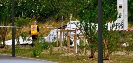 Aereo da turismo precipita vicino a Nancy, in Francia: undici le vittime