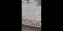 Grandinate a Nord di Torino, temporale in citt&agrave;: chicchi di ghiaccio nell'hinterland