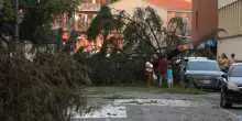 Tuoni e pioggia su Milano, il downburst fa cadere alberi e pali sulle auto