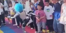 Il robot umanoide sferra un calcio in pancia a un bambino durante un'esibizione