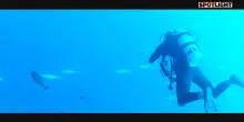 Spotlight. Ombre sul paradiso: la storia dei sub italiani morti alle Maldive