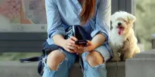 Amico Fido, l&rsquo;app che aiuta a segnalare bocconi avvelenati e pericoli sulla mappa