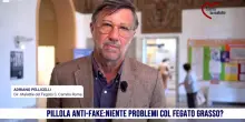 Fegato grasso, nessun rischio?