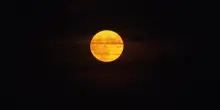 Il cerchio gigante della "Luna delle Fragole" squarcia il cielo notturno di Vienna