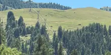 Quad precipita sui monti nell'Imperiese, tre escursionisti francesi morti dopo un volo di 300 metri