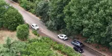 L'ondata di maltempo: alberi divelti caduti nel viterbese: immagini dal drone