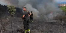 Incendio alla Pineta Sacchetti. Elicottero in azione per domare le fiamme