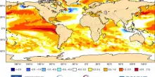 El Ni&ntilde;o, in aumento la probabilit&agrave; di fenomeni meteorologici estremi