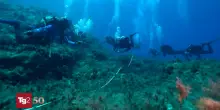 Giornata del Mar Mediterraneo, per valorizzare uno degli ecosistemi pi&ugrave; ricchi di biodiversit&agrave;