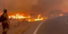 Incendio nei boschi dell'Andalusia: almeno 12 morti