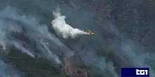 Emergenza incendi in Piemonte, bruciati 700mila alberi. La Regione: "Catastrofe ecologica"