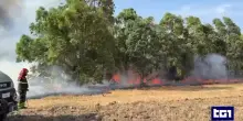 Incendi, in Piemonte "catastrofe ecologica". Sardegna, in azione i canad air