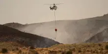 Disastro in Spagna: almeno 12 morti e 23 dispersi nell'incendio in Andalusia, bruciati 7.000 ettari