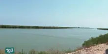 Delta del Po mai cos&igrave; a secco  e l'acqua del mare risale il fiume