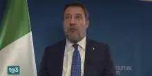Lega, Salvini: "I sondaggi ci danno in calo da sempre, mi allungano la vita"