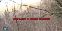Varese, carabinieri a processo per omicidio: la "caccia al marocchino" nei boschi