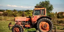 Caldo eccezionale e siccit&agrave;, i rischi per agricoltura e raccolti: la mappa della sete di Coldiretti