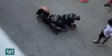 "Aiuto, basta": nel video la morte dell'uomo ammanettato a Bologna