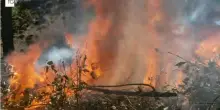 Sicilia: fiamme, devastazione e paura e adesso manca l'acqua