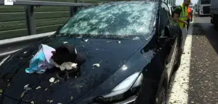Le auto distrutte dalla grandine nel Ferrarese: paura sull'autostrada A13