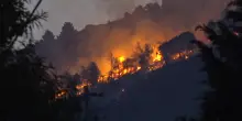 Decine di roghi in Sicilia, il fronte di fuoco sulle montagne di Monreale