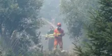 Sicilia ancora in fiamme, Cocina:"Di fronte ai roghi dolosi, c'&egrave; poco da fare"