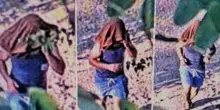 Violentata mentre fa jogging al parco, donna si difende a morsi. Arrestato un 25enne