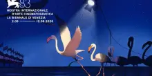 Tuttifrutti: le anticipazioni della mostra del cinema di Venezia. Il viaggio dell'arazzo di Bayeux