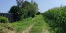 Tentato stupro a Chieri sulla pista ciclabile
