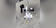 Morte Fakir, nuovo video con sangue sotto la testa e polemica su quello nei polmoni