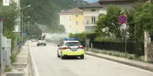 Caso di dengue importato dall'estero, disinfestazione a Gardolo