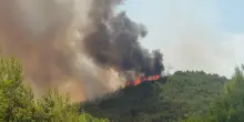 Fiamme sul Gargano: brucia una pineta di macchia mediterranea, i roghi minacciano le spiagge
