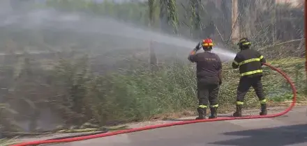 Lotta alle fiamme in Puglia, Molise e Calabria, fuga via mare al Gargano