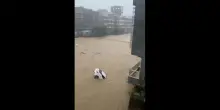 Auto inghiottita dall'acqua e trascinata dal fango: inondazioni nel Guangdong