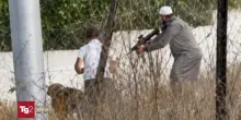 Cisgiordania: escalation di aggressioni dei soldati israeliani, tra arresti e vandalizzazioni