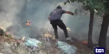 Domato l'incendio sul Gargano, carabinieri: "Dai primi risultati rogo colposo"