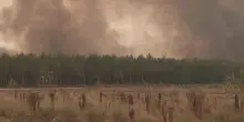 Incendi in Francia, fiamme a 15 chilometri da Bordeaux: 42 mila ettari bruciati