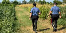Treviso, due gemelli di 14 anni rapiti e picchiati per ore da una baby gang