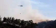 L'incendio minaccia le case sull'isola di Lesbo