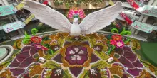 La meraviglia della colomba gigante, le ali della scultura sopra migliaia di fiori in Colombia