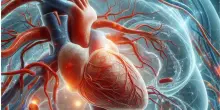 La prima causa di morte? Le malattie cardiovascolari. Eppure l'80% dei casi &egrave; prevenibile