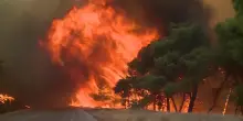 La Grecia brucia, incendi spinti dal vento anche vicino ad Atene: evacuazioni d'emergenza - VIDEO