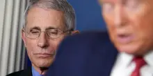 Trump sostiene l'ipotesi di incriminazione per Anthony Fauci: "Ci&ograve; che ha fatto &egrave; molto pi&ugrave; grave"