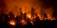 Fiamme imponenti si ergono verso l'alto: l'incendio di Bald Range divampa in Canada