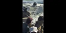 L'ippopotamo affamato insegue una barca carica di turisti: il video shock della fuga sul lago