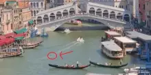 Venezia, delfino avvistato vicino al Ponte di Rialto: le immagini